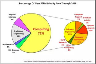 互聯(lián)網(wǎng)時(shí)代 觸手可及的計(jì)算機(jī)網(wǎng)絡(luò)技術(shù)開發(fā)背景提升項(xiàng)目